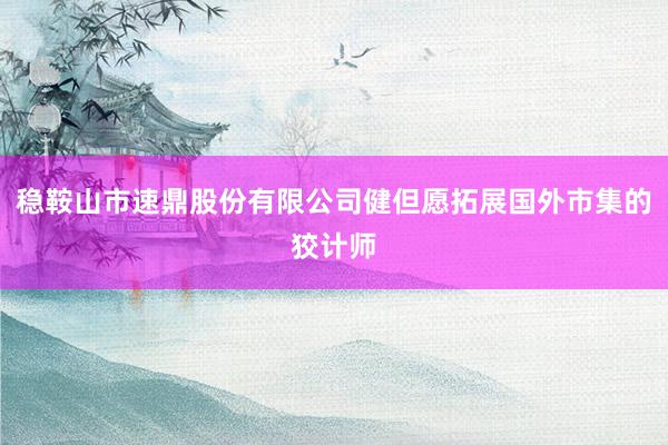 稳鞍山市速鼎股份有限公司健但愿拓展国外市集的狡计师