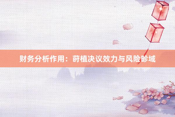 财务分析作用：莳植决议效力与风险畛域